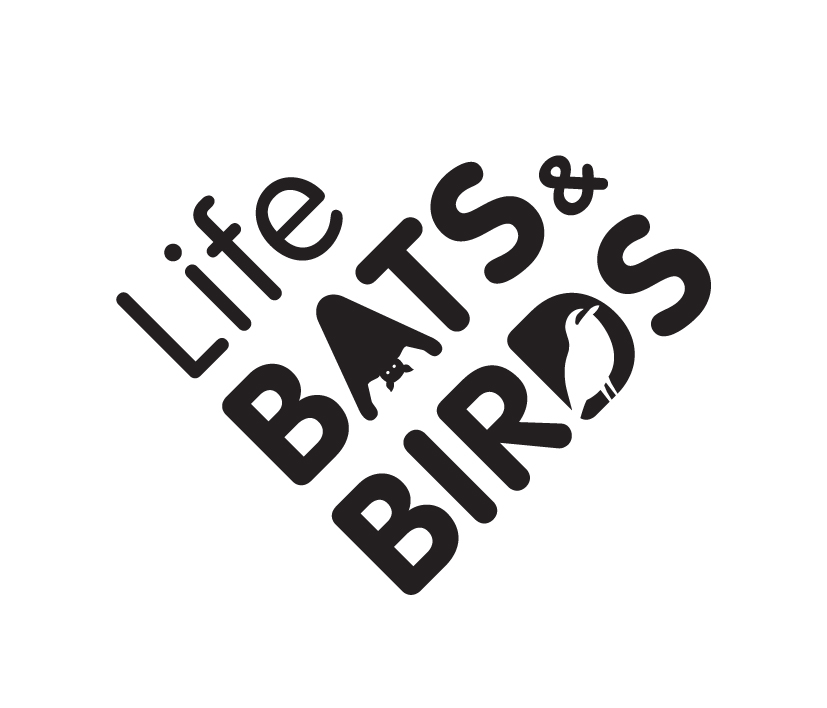 Presentation Projekt Life Bats & Birds