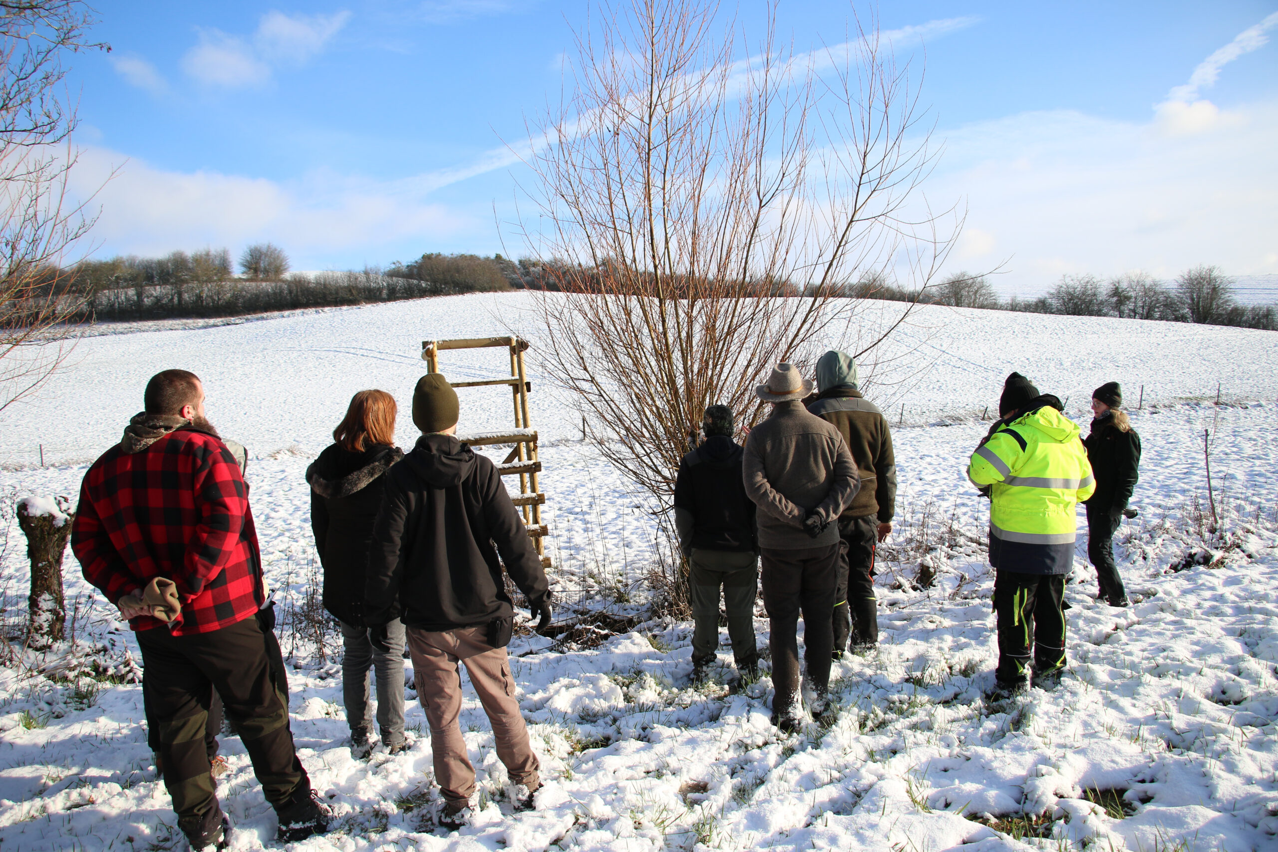 Formation d’arboriculteur gestion des plantes ligneuses